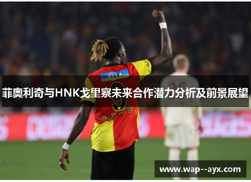 菲奥利奇与HNK戈里察未来合作潜力分析及前景展望 菲奥利奇与HNK戈里察未来合作潜力分析及前景展望