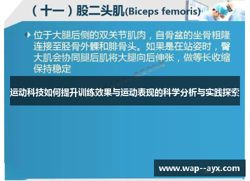 运动科技如何提升训练效果与运动表现的科学分析与实践探索