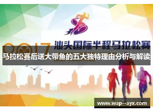 马拉松赛后送大带鱼的五大独特理由分析与解读