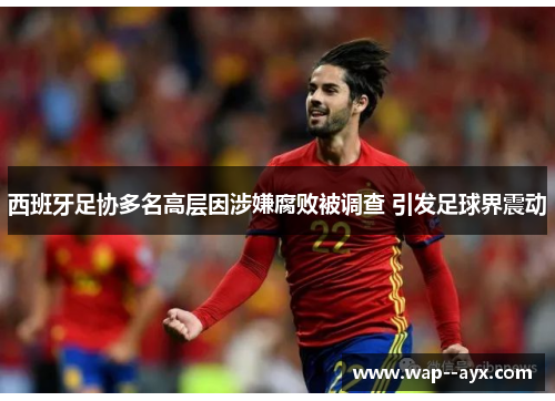 西班牙足协多名高层因涉嫌腐败被调查 引发足球界震动 西班牙足协多名高层因涉嫌腐败被调查 引发足球界震动