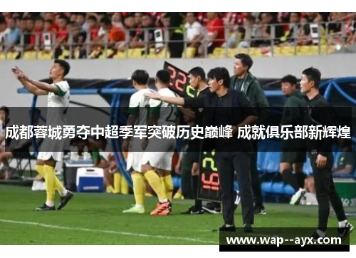 成都蓉城勇夺中超季军突破历史巅峰 成就俱乐部新辉煌 成都蓉城勇夺中超季军突破历史巅峰 成就俱乐部新辉煌